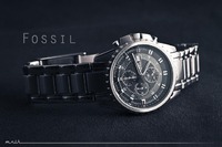 Fossil, 