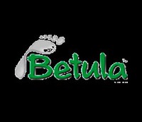 Betula, Бетула