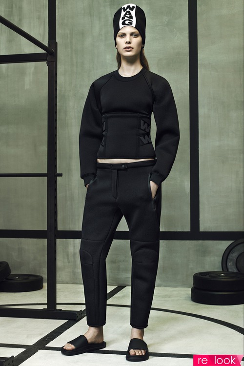 Alexander Wang  h&m