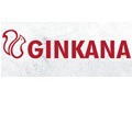 Ginkana, 